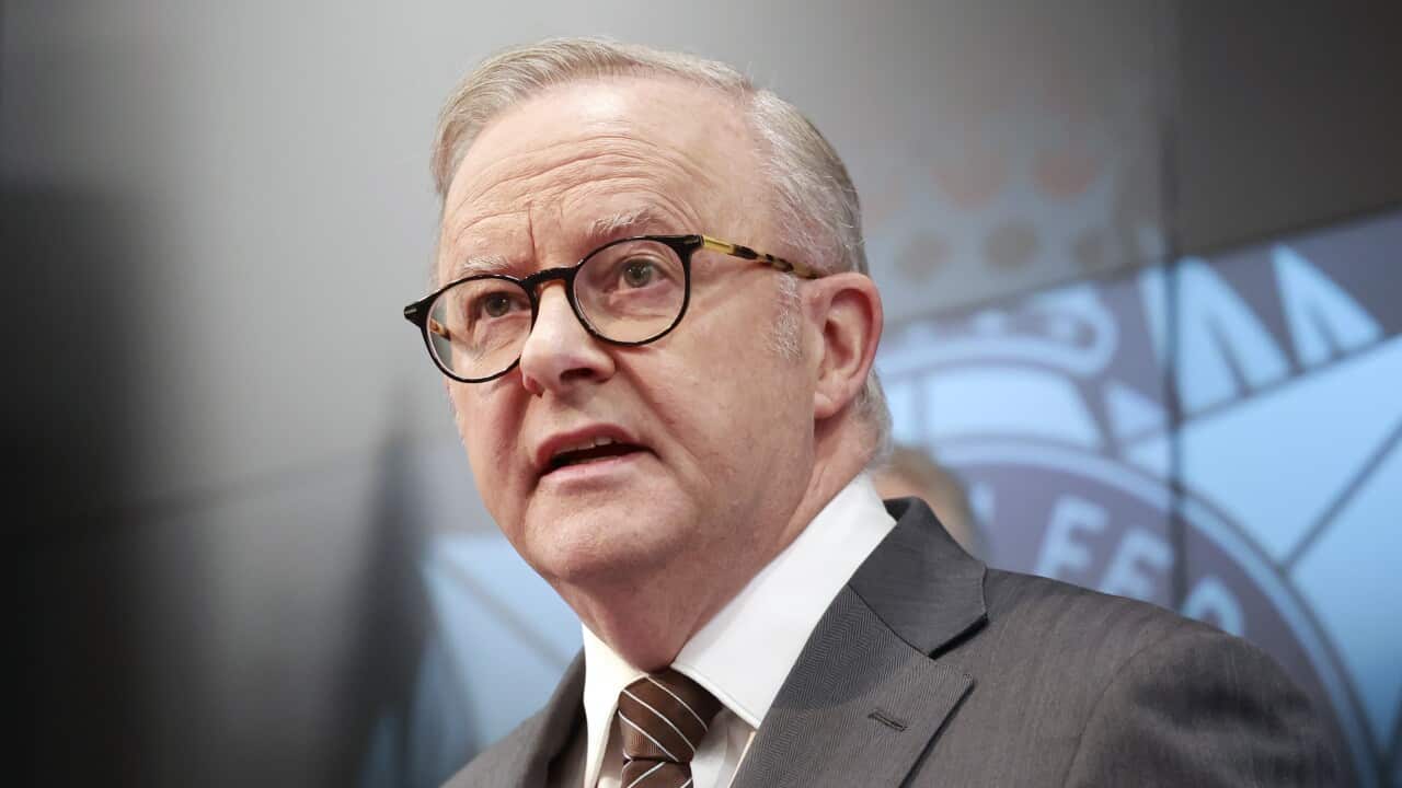 AFP BONDI TERROR INVESTIGATION