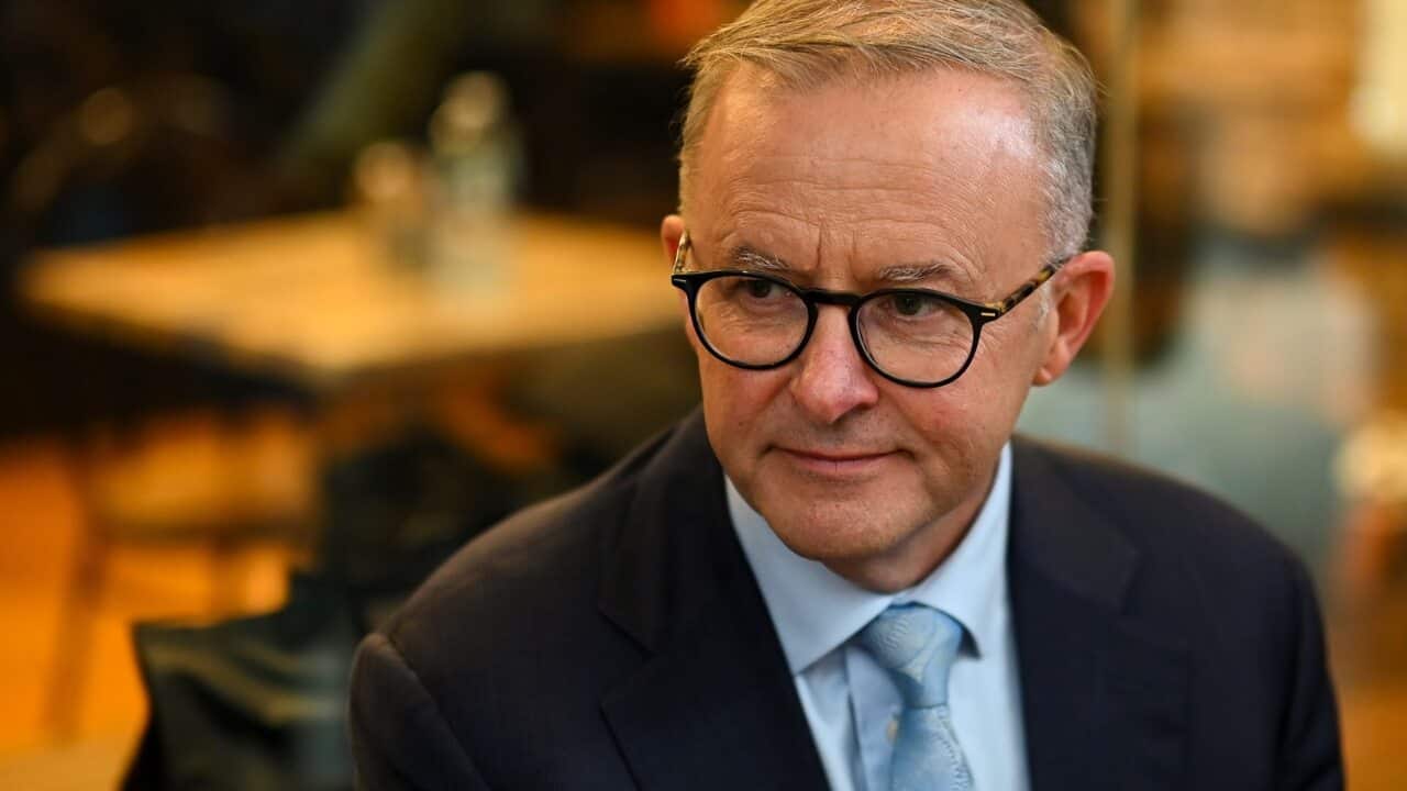Anthony Albanese