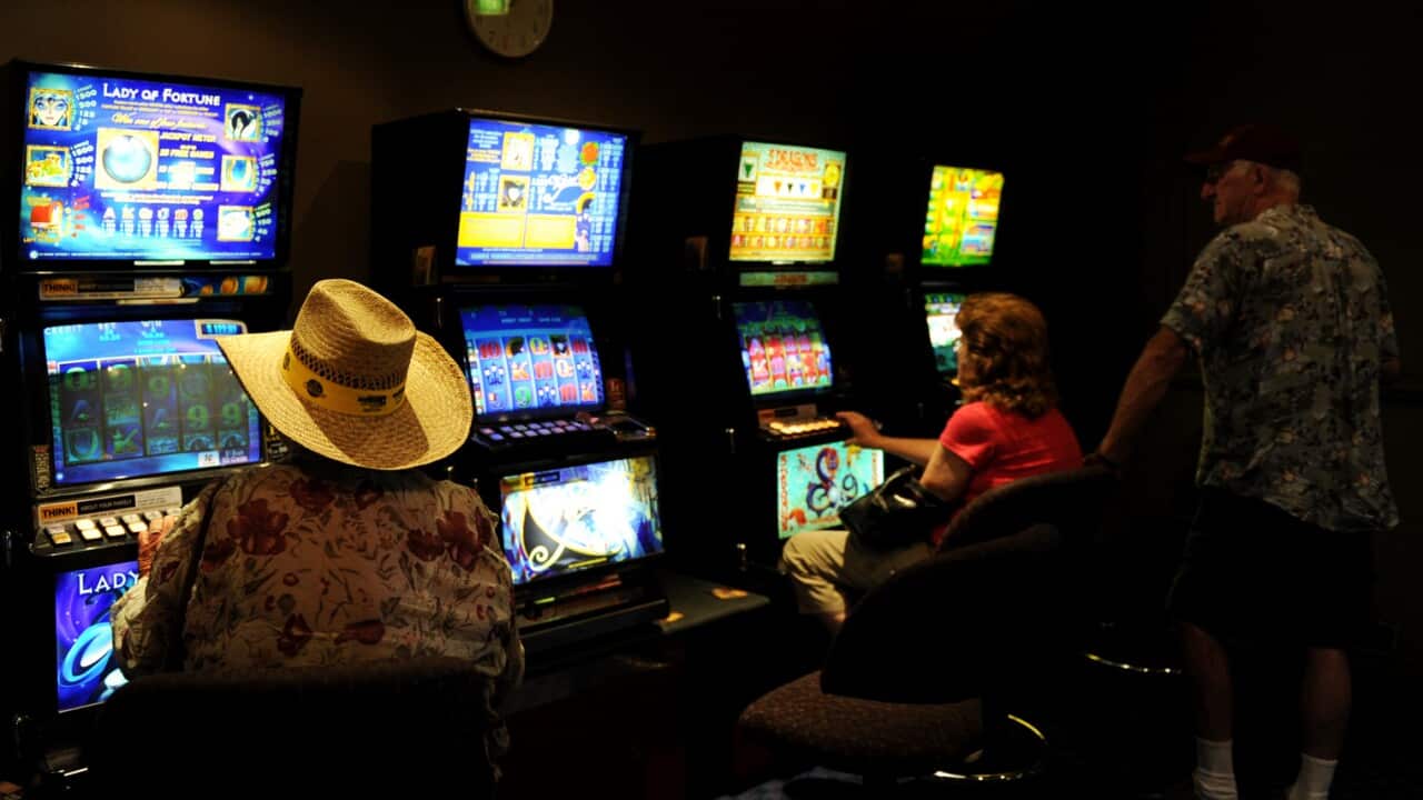 gambling, gambling laws and regulations,
