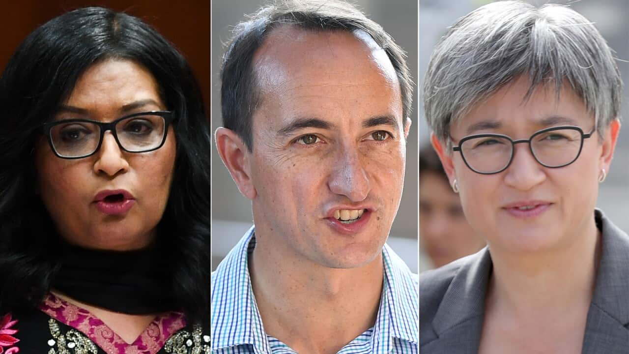 Mehreen Faruqi, Dave Sharma, Penny Wong.