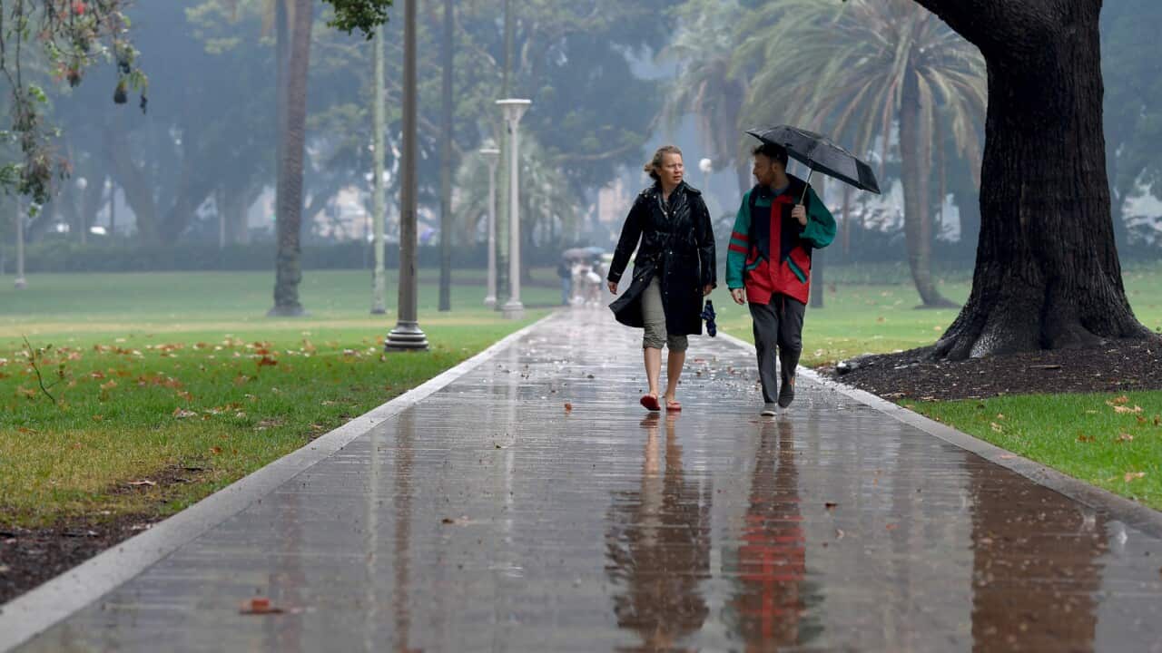 Pedestrians hold umbrellas as they walk in heavy rain in Sydney's CBD, Friday, January 17, 2020. Sydney is expected to receive 10-25 mms of rain today, while up to 50mm is forecasted for parts of NSW. (AAP Image/Bianca De Marchi) NO ARCHIVING