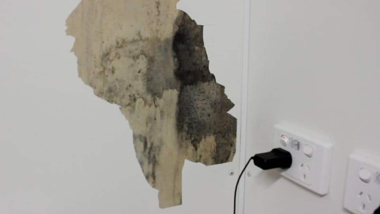 Mould on the interior walls of staff accommodation at Nauru