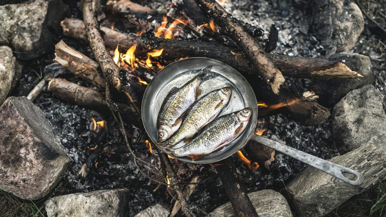 Rudd frying in a pan at camp fire