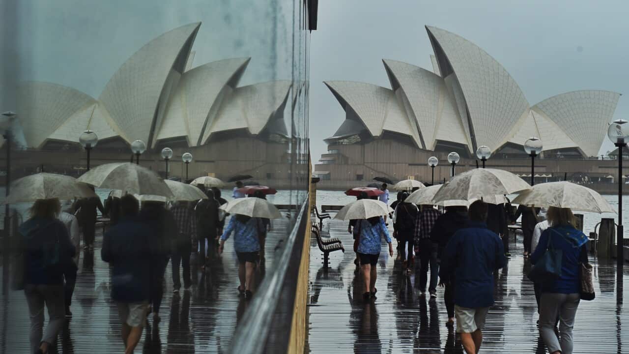 WET WEATHER SYDNEY