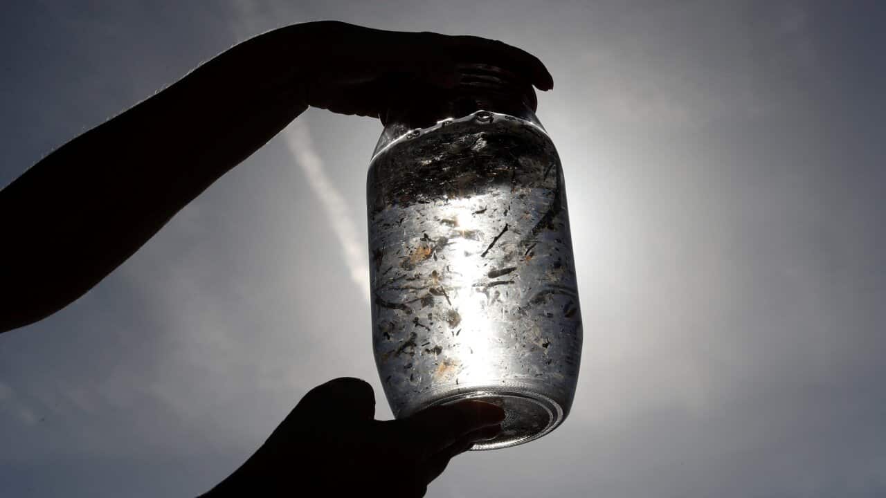 A marine biologist specializing in microplastics examined a water sample from the Mediterranean Sea.