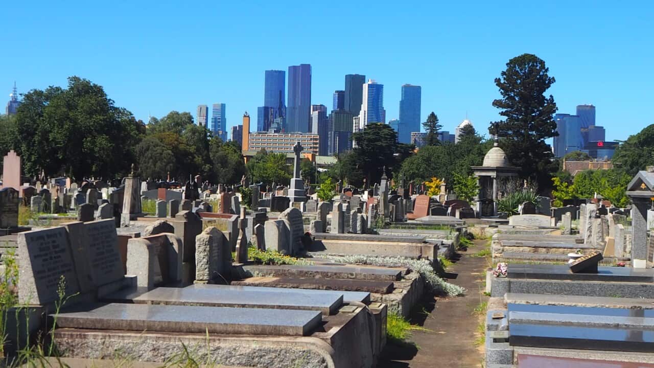 The Melbourne General Cemetery is located in Carlton North and offers a remarkable view of the city.