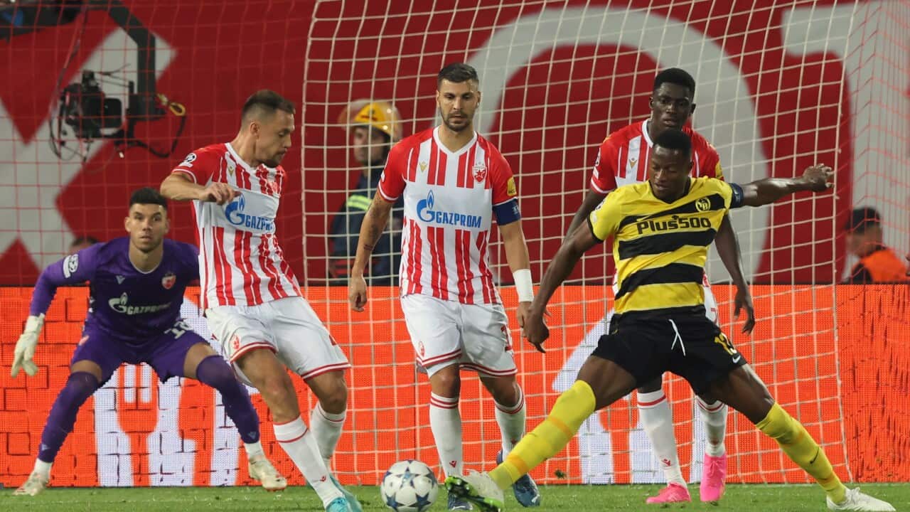Young Boys' Mohamed Ali Camara (R) in action against Red Star's Milan Rodic (L) during the UEFA Champions league group G match between Red Star and Young Boys in Belgrade