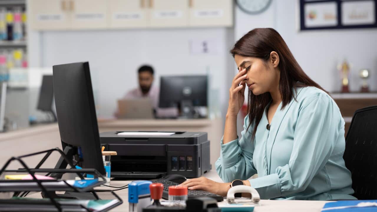 Young businesswoman working in office stock photo