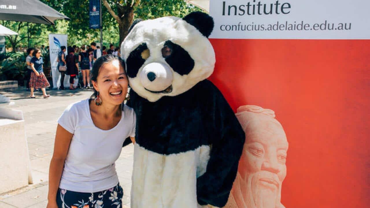 The Confucius Institute at a Splash Adelaide community event. (The Confucius Institute)