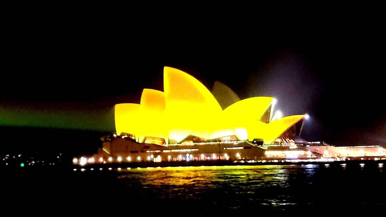 WhatsApp Image 2022-10-27 at 12.13.06 PM.jpeg