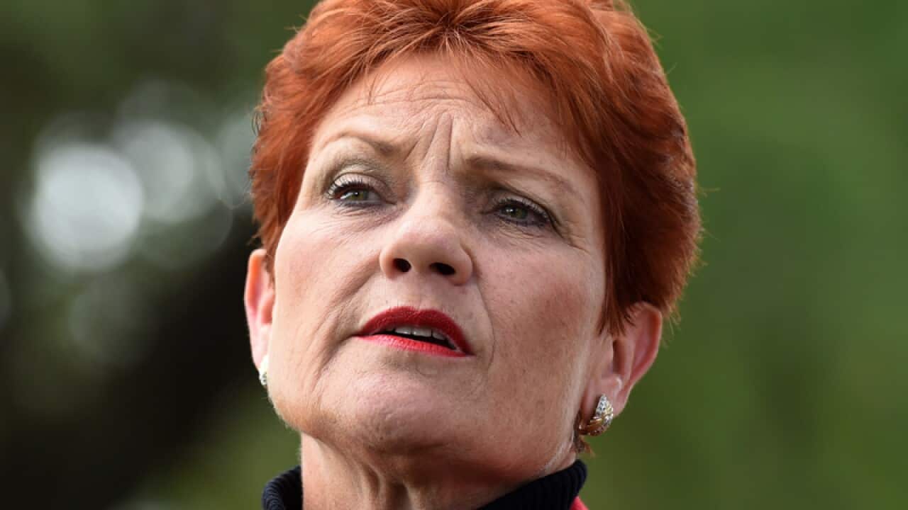 One Nation's Pauline Hanson