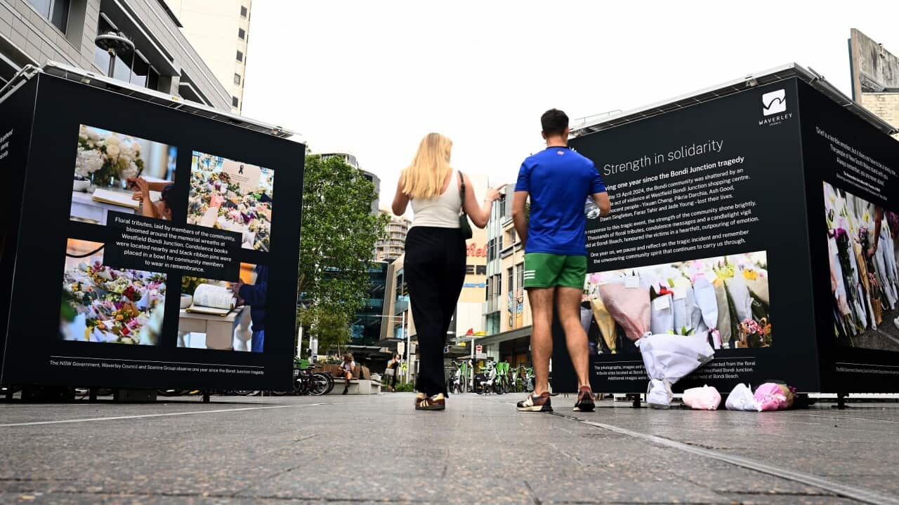 BONDI STABBING ANNIVERSARY