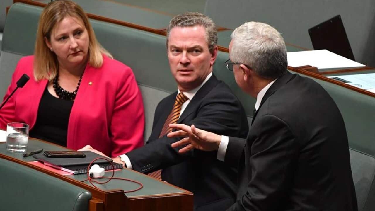 Rebekha Sharkie and Christopher Pyne