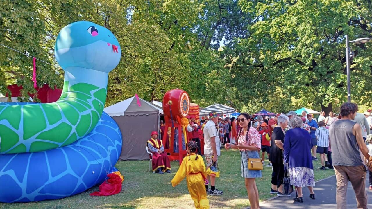 Image for read more article 'READ MORE'