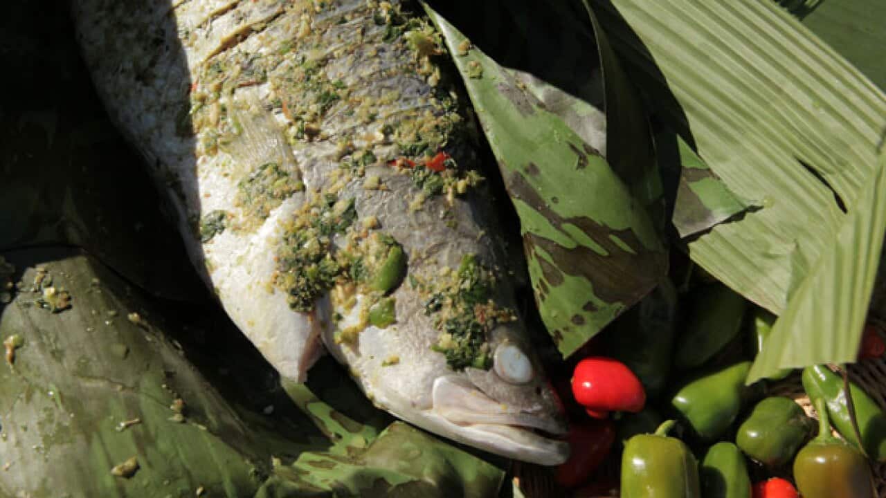 Grilled-Fish-with-Herbs2_1471683618