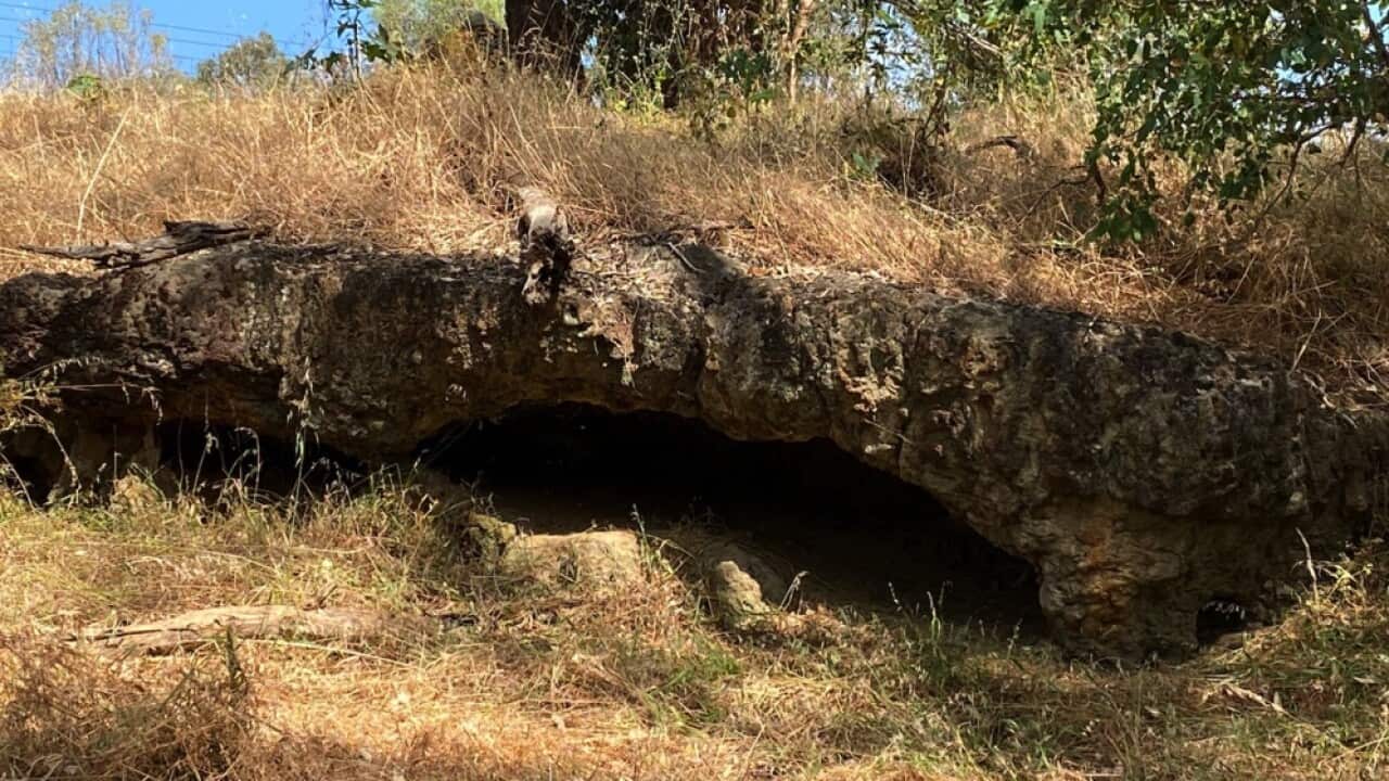 Image for read more article 'READ MORE'