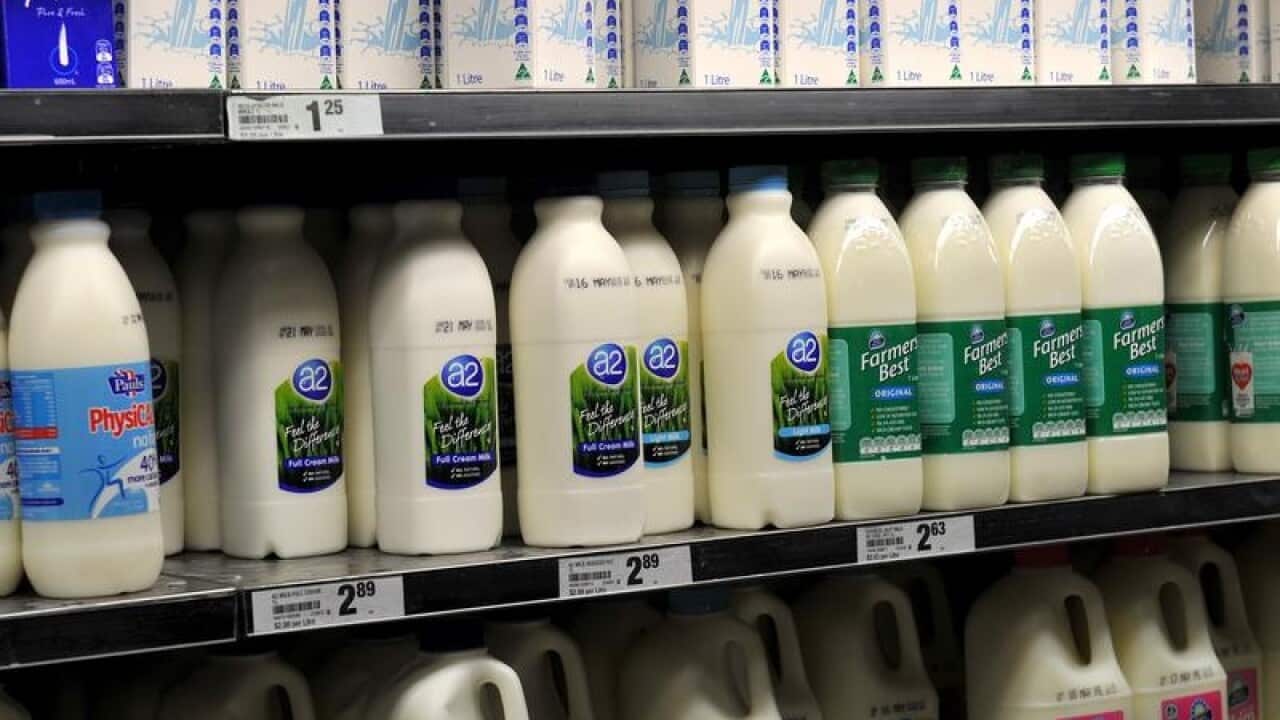 Milk on a supermarket shelf