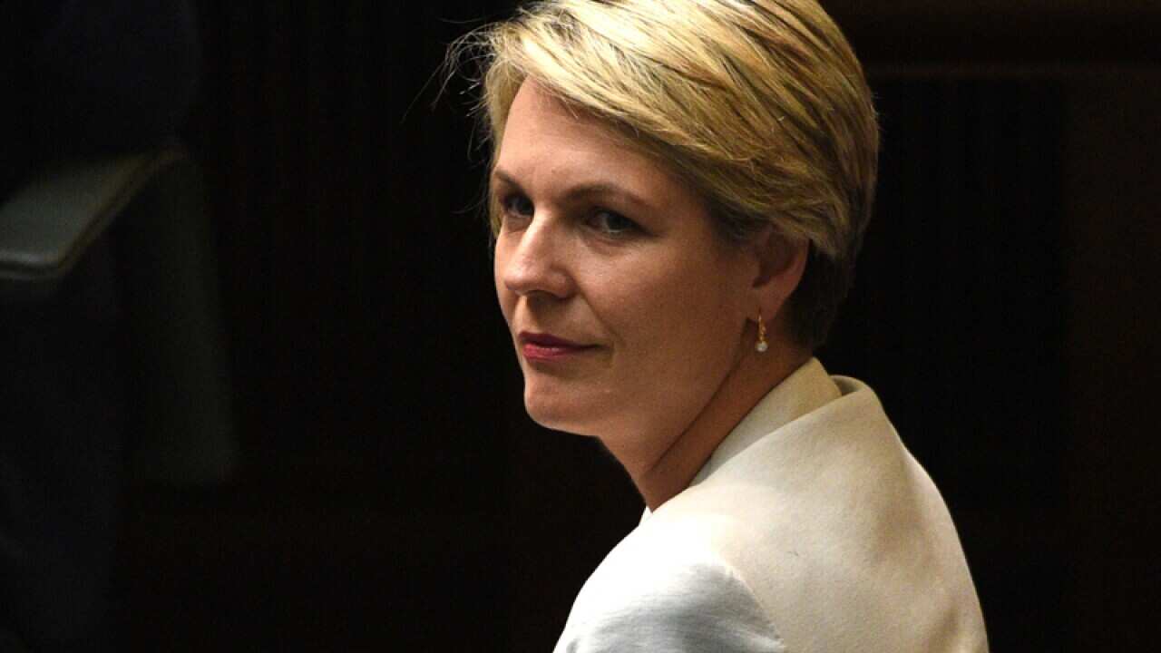 Deputy leader of the Opposition Tanya Plibersek
