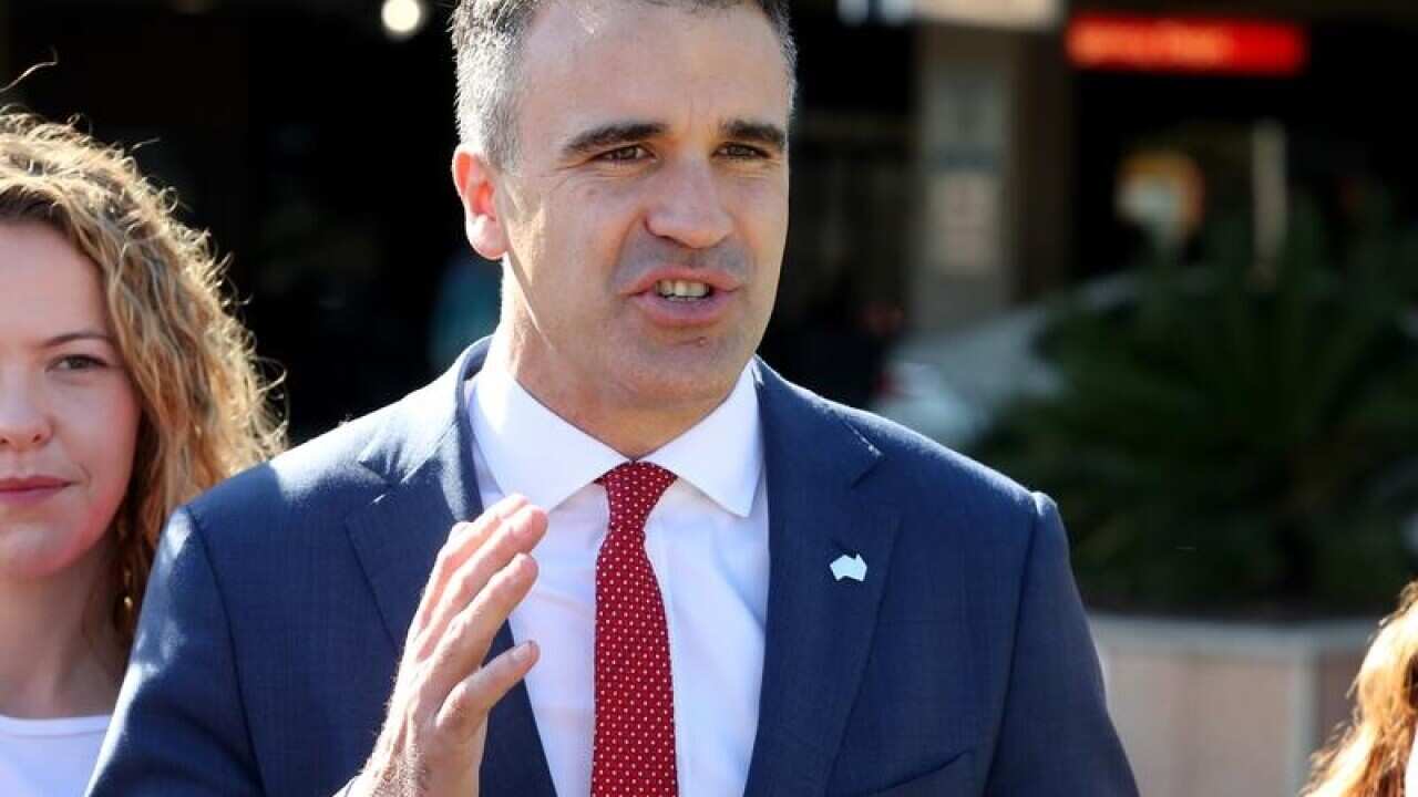 Peter Malinauskas