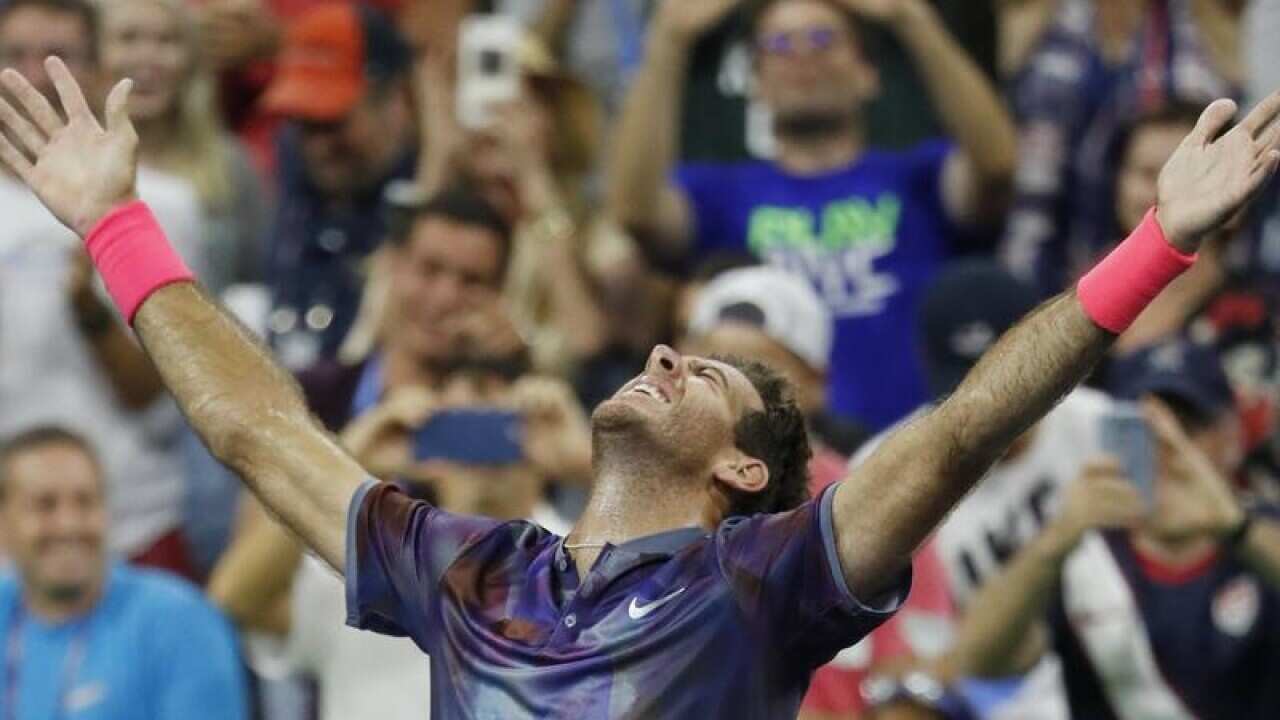 Juan Martin del Potro