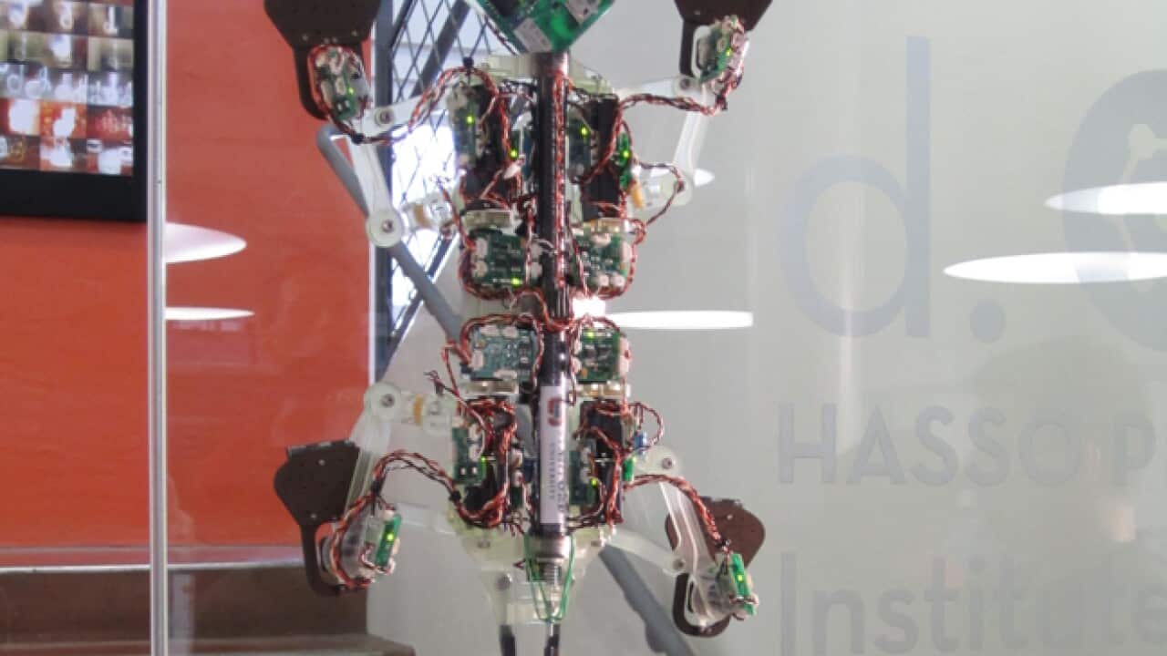 Stickybot_030311_B_Stanford_Mark-Cutkosky_1434892028