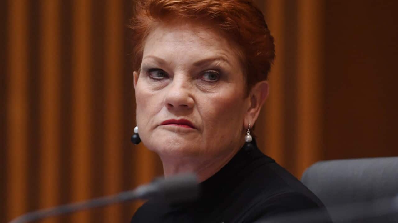 One Nation leader Pauline Hanson