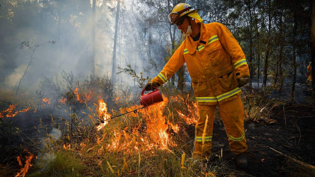 CFA strike teams performing controlled burning west of Corryong, Victoria.