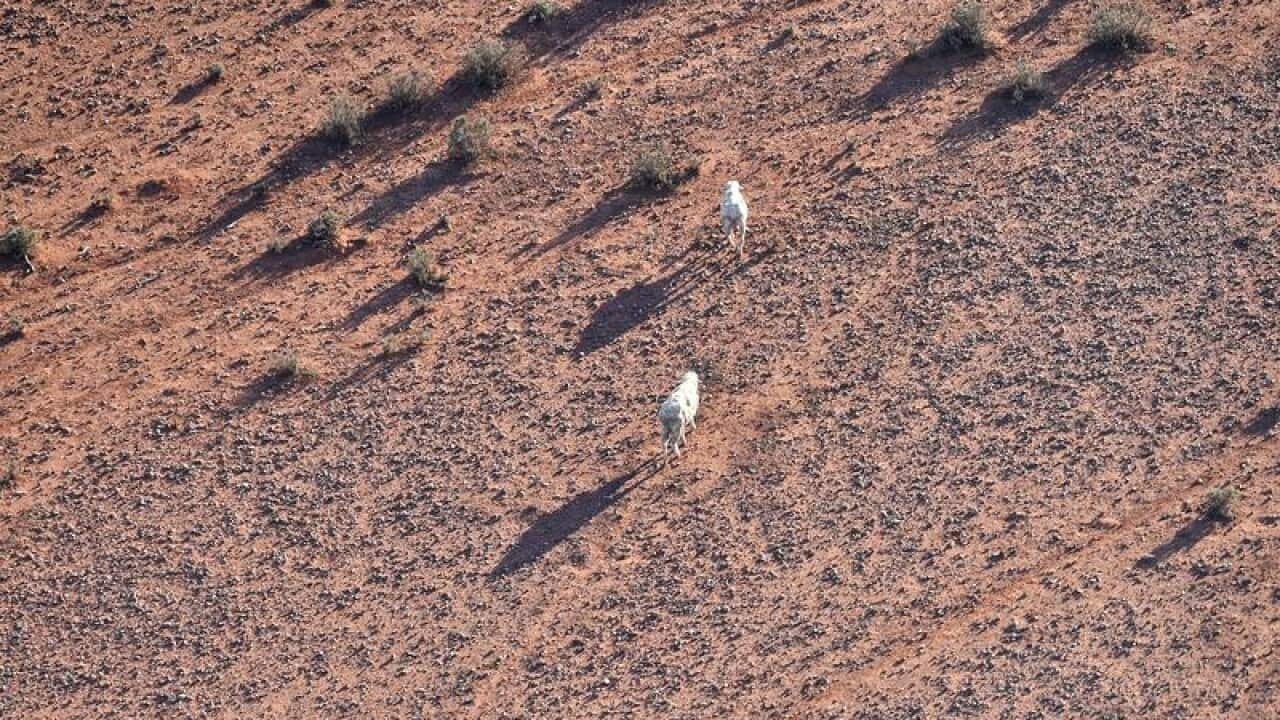 Image for read more article 'READ MORE'