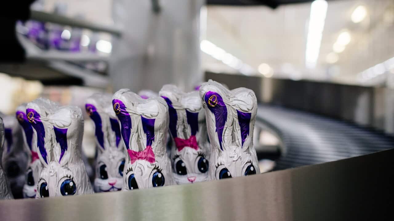 The Chocolate Factory: Inside Cadbury Australia