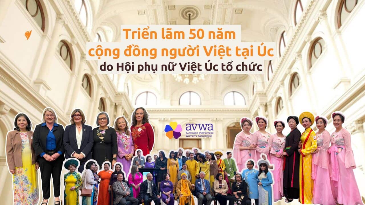 75a2612b-d0e3-4b30-b6dc-f020bdf6ac2c.mp4 (1).jpg