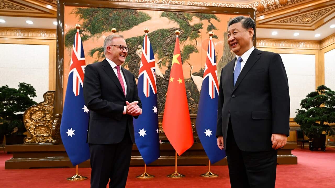 ANTHONY ALBANESE CHINA TOUR