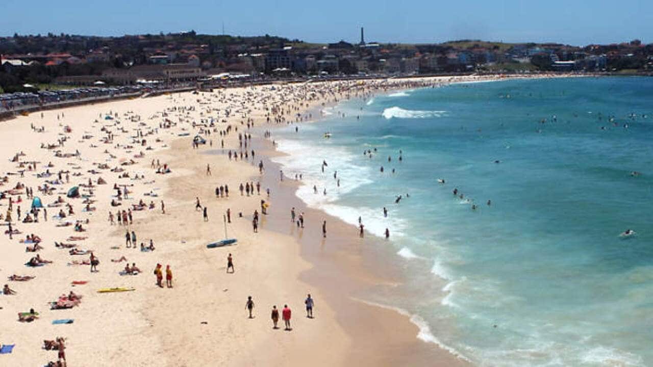 Bondi Beach