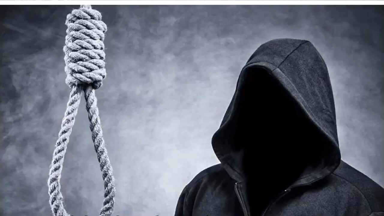 Image for read more article 'READ MORE'