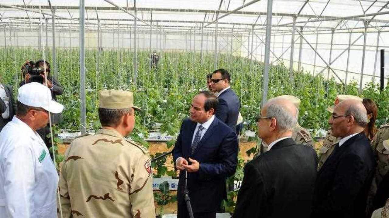 Egyptian President Abdel Fattah al-Sisi (C) speaking with unidentified officials during the inauguration of the first phase of a project to build 100,000 greenhouses using water-preserving irrigation system, at Mohamed Naguib military base in Hammam city,