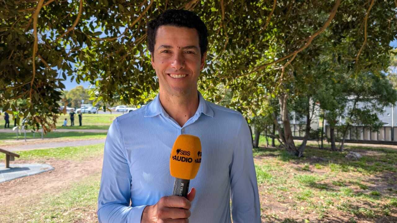 'João Fonseca tem potencial para ser top 10 em dois anos': Andre Sá em ...