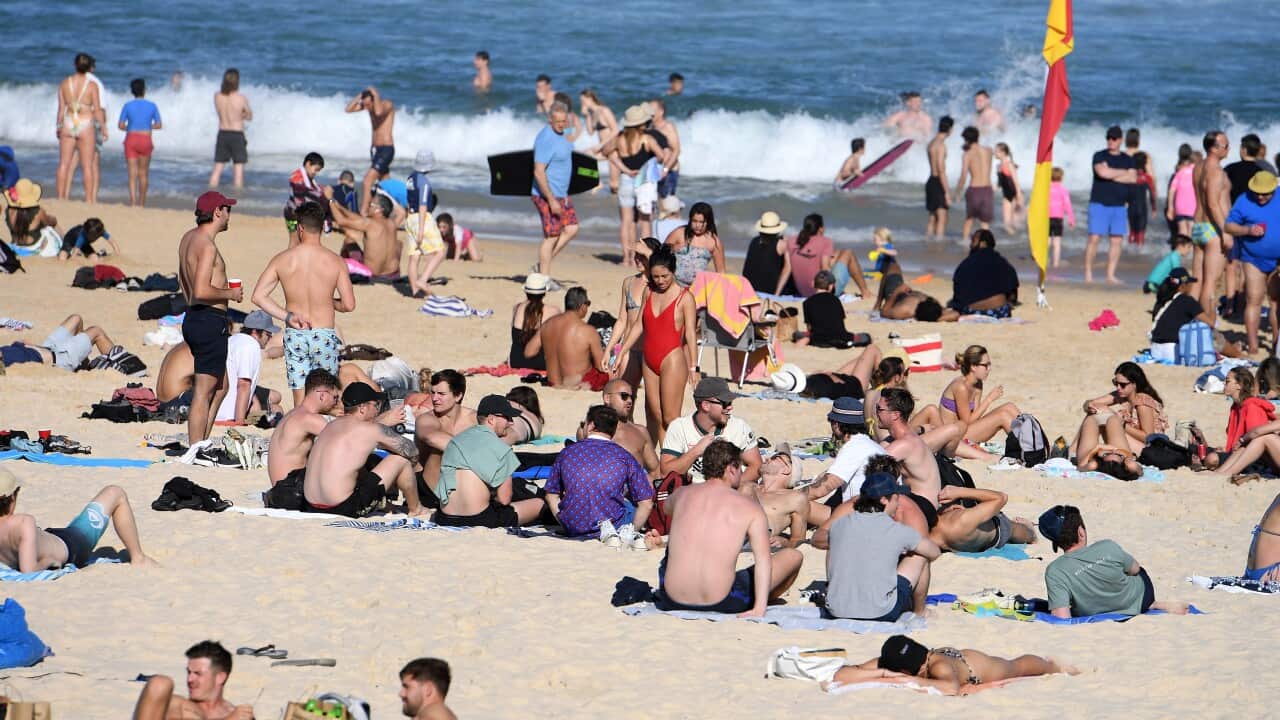 City workers in Melbourne.