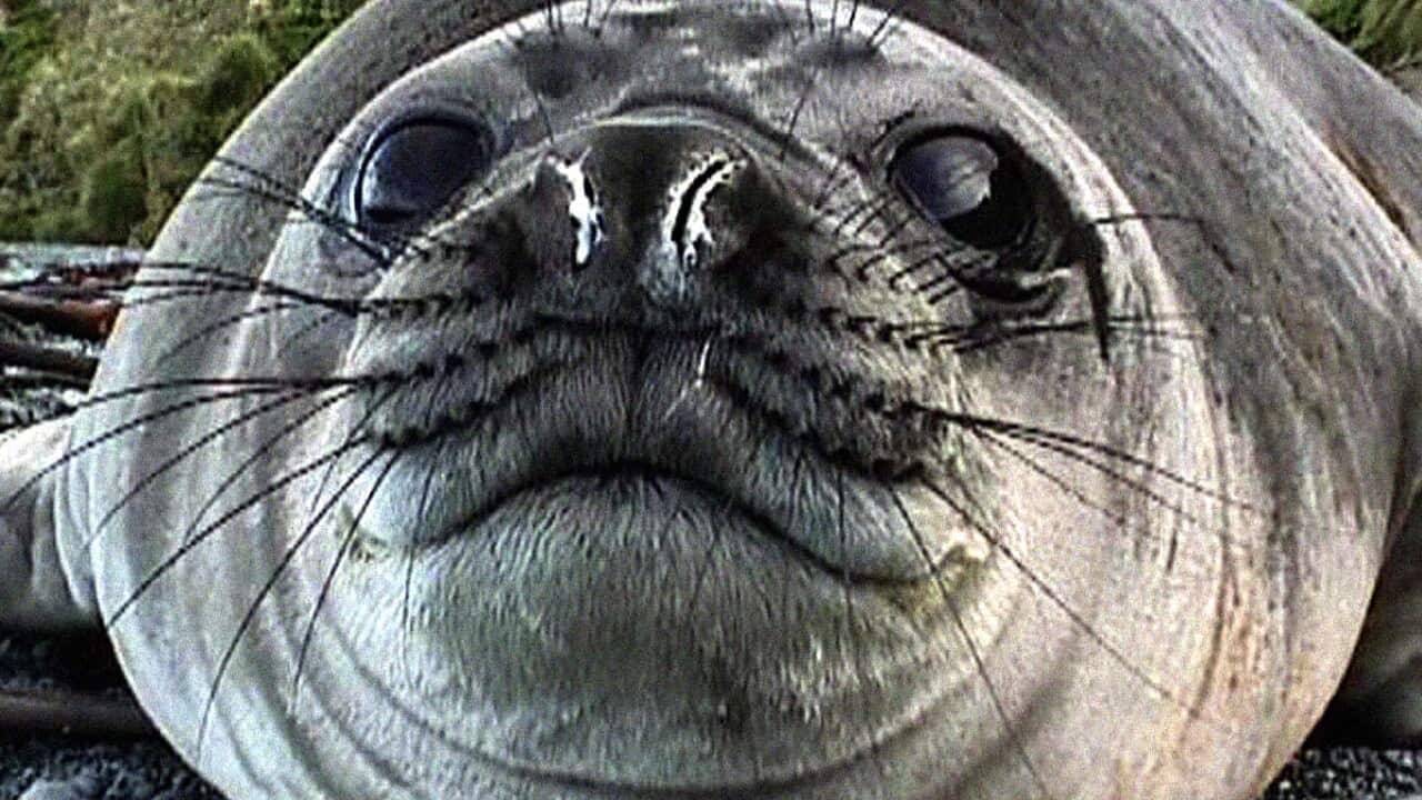 Image for read more article 'Δείτε ακόμη'