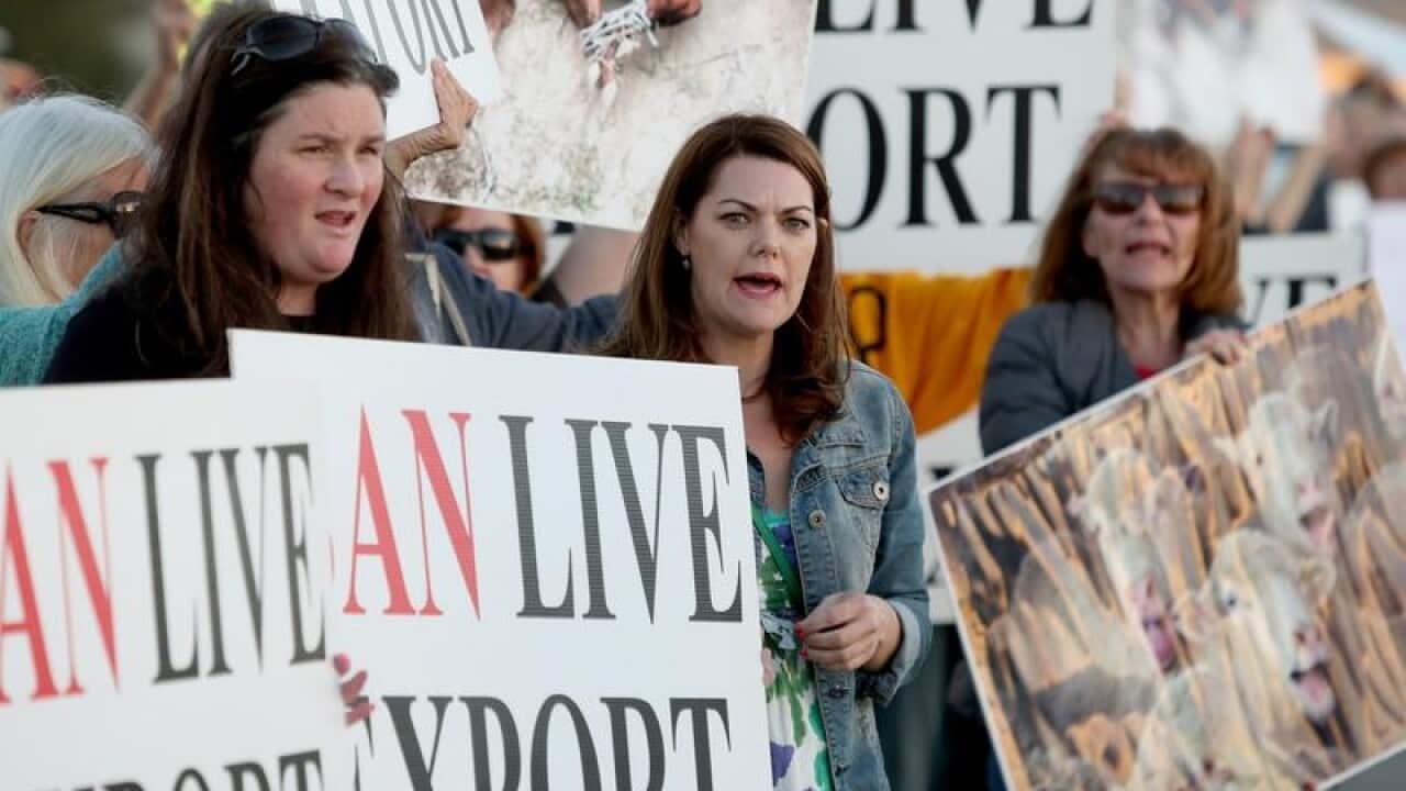 Sarah Hanson-Young during a Ban Live Export rally