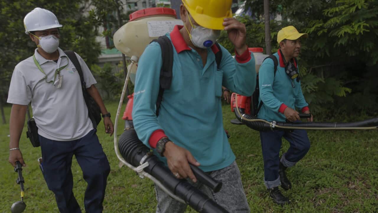 Pest exterminators spray at mosquito breeding sites