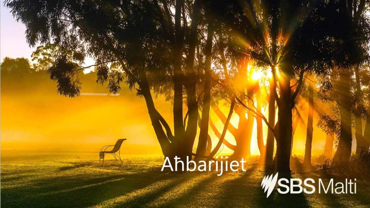 Malt News Bench 2 (1) no frame .jpg