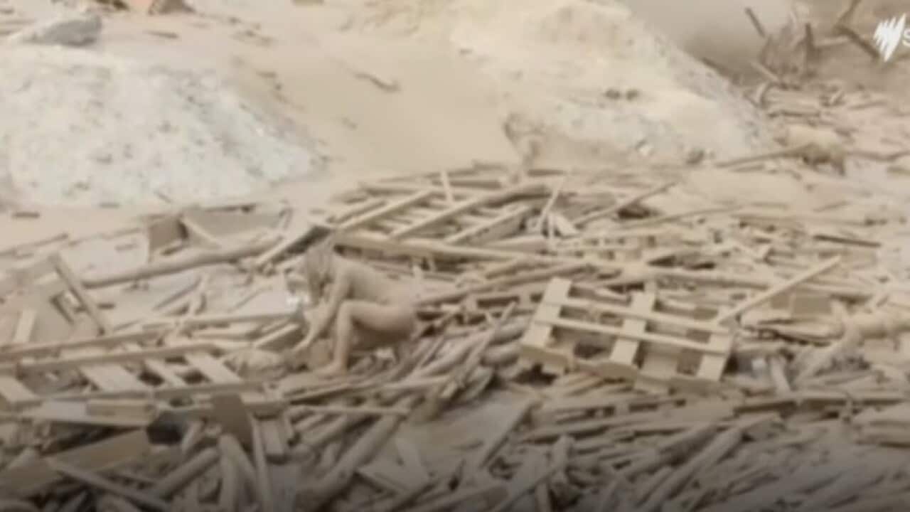 Dramatic footage shows woman escaping mudslide in Peru SBS News