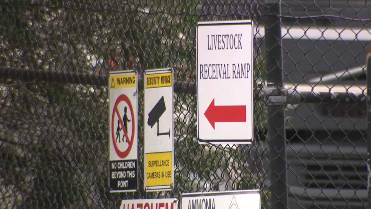 Image for read more article ''