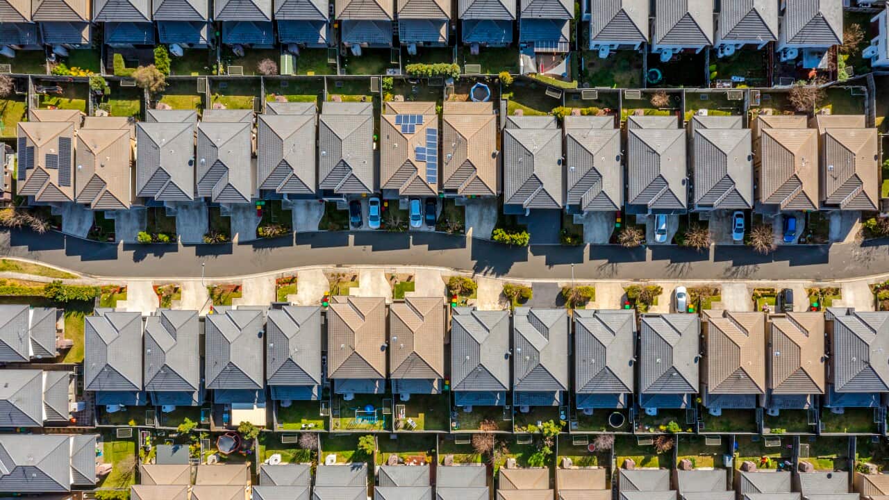 Dozens of houses on compact blocks, from above.