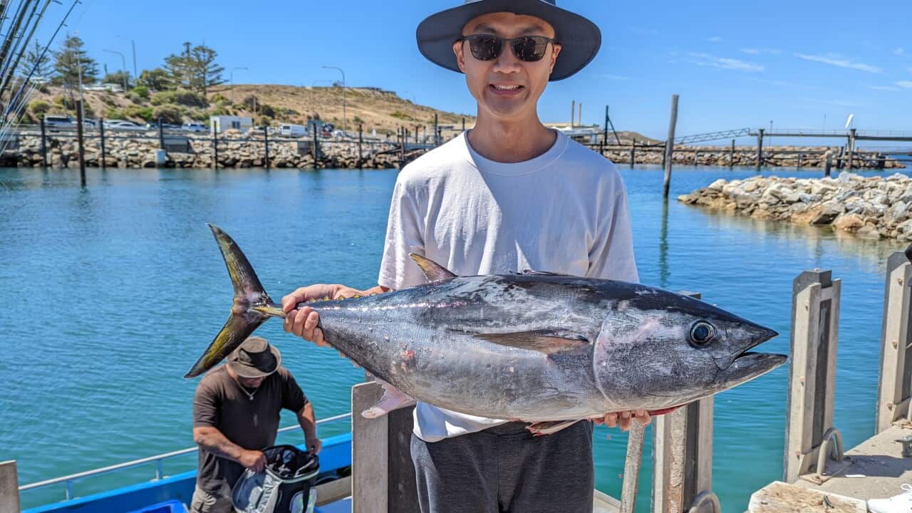 Image for read more article ''