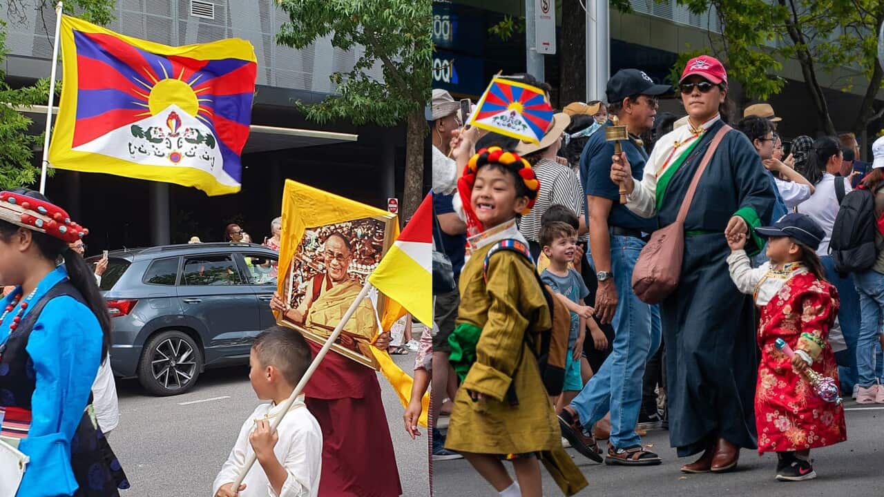 Tibetan Culture Showcased at National Multicultural Festival.jpg