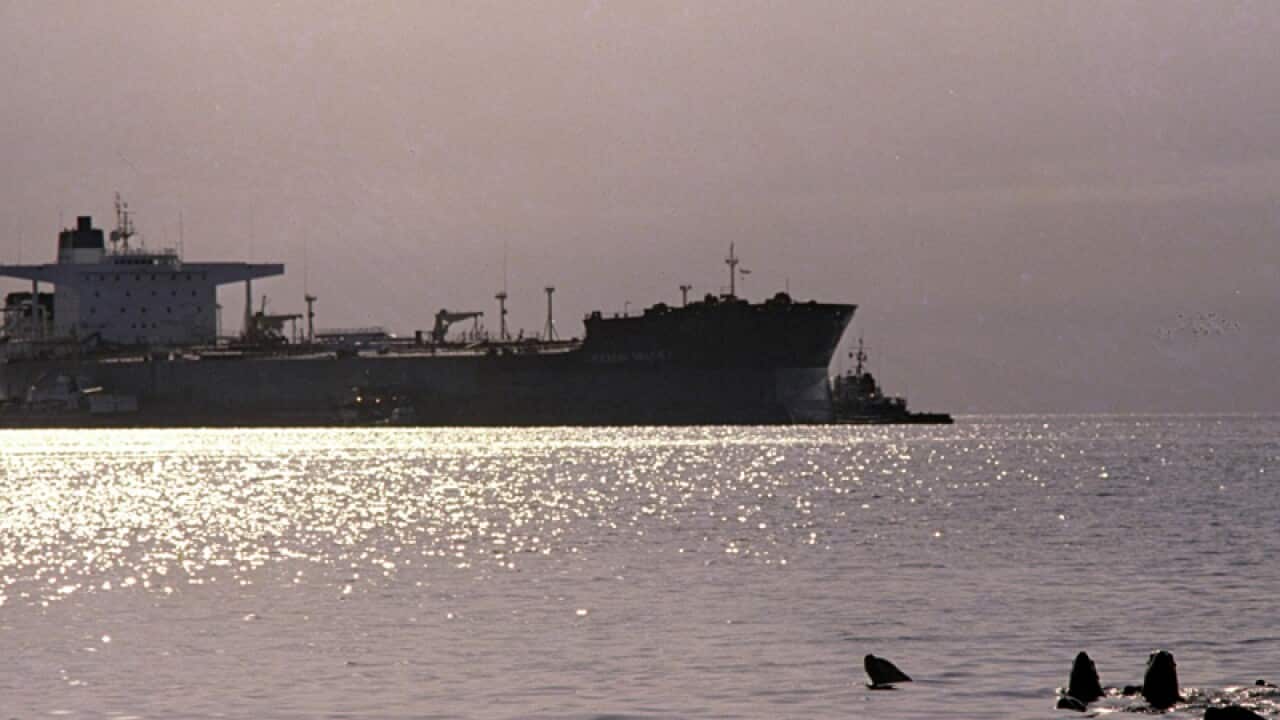 Sea lions swim as the Exxon Valdez sits at anchor