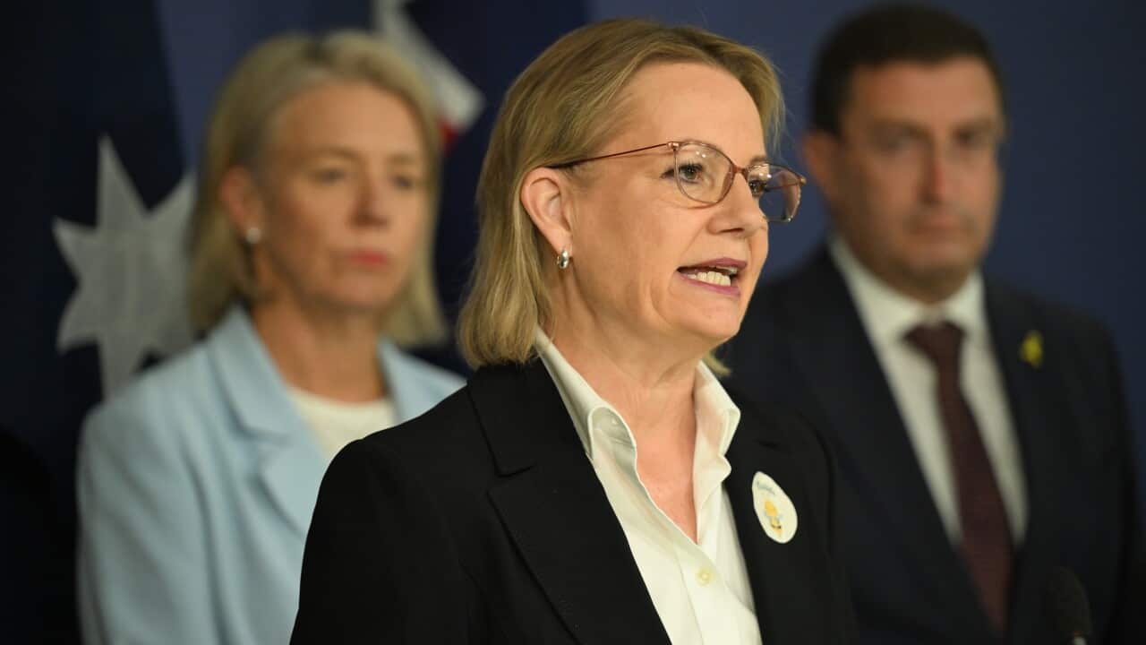 SUSSAN LEY PRESSER