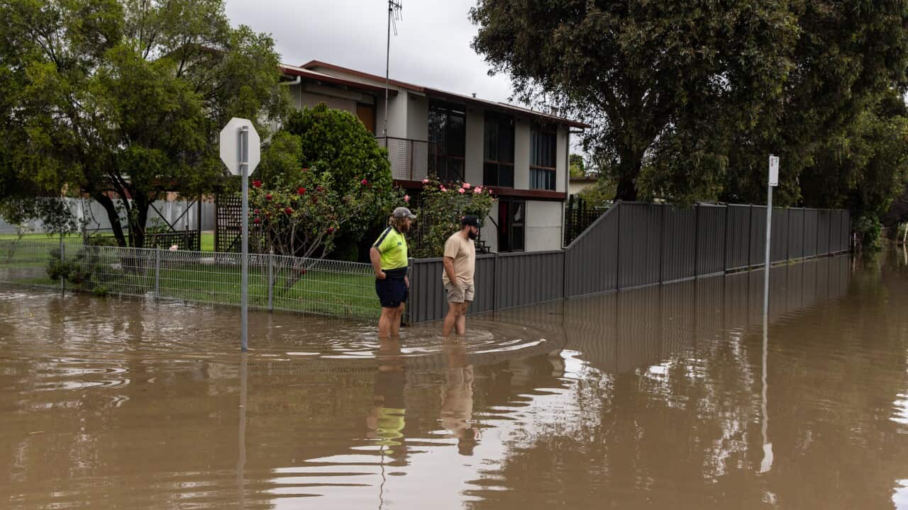 Image for read more article 'READ MORE'