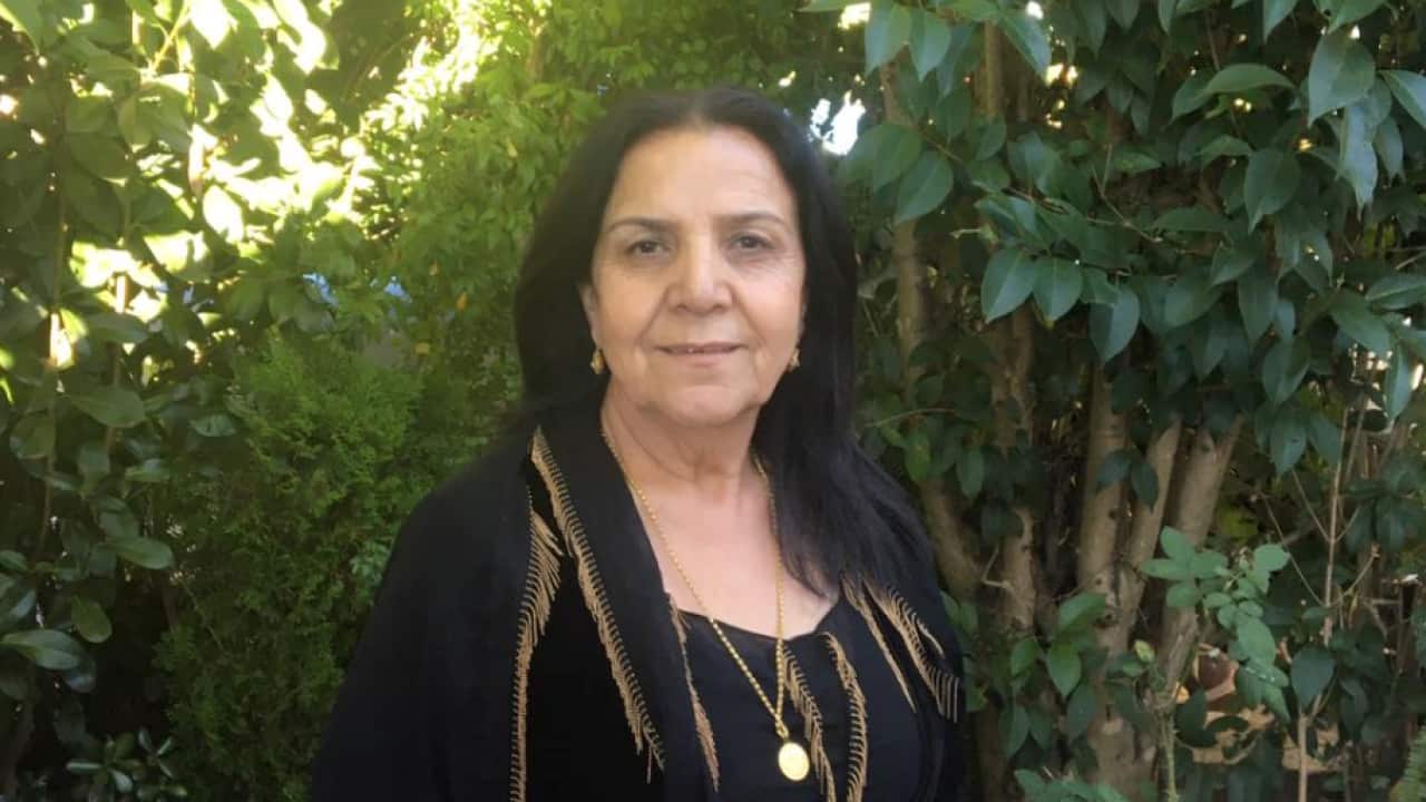 Sirwa Wahab Maref 1.png