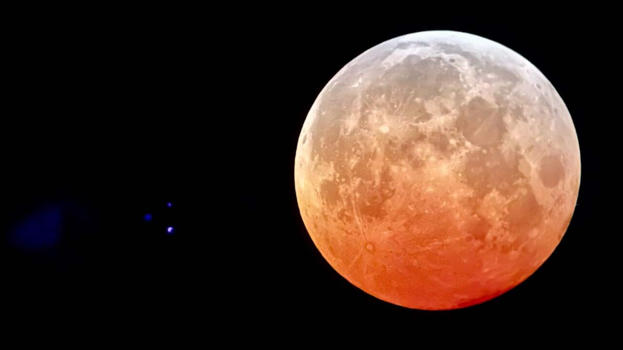 Image for read more article '阅读更多'